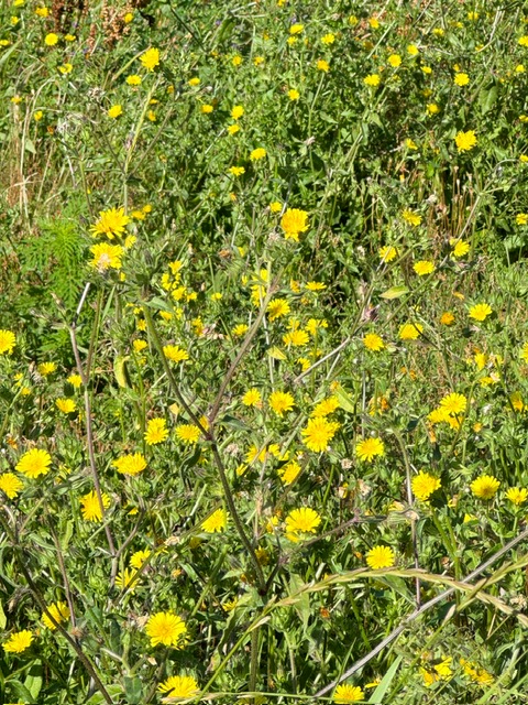 photo 2026 08 31 17 21 26