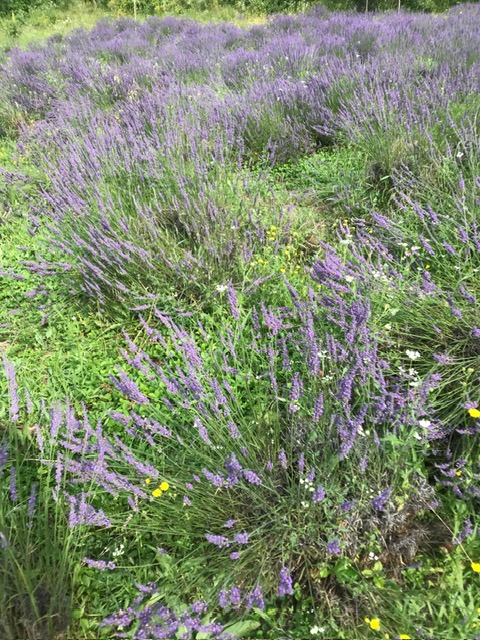 photo 2026 08 31 17 23 12